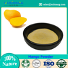 Spray Dried Mango Powder