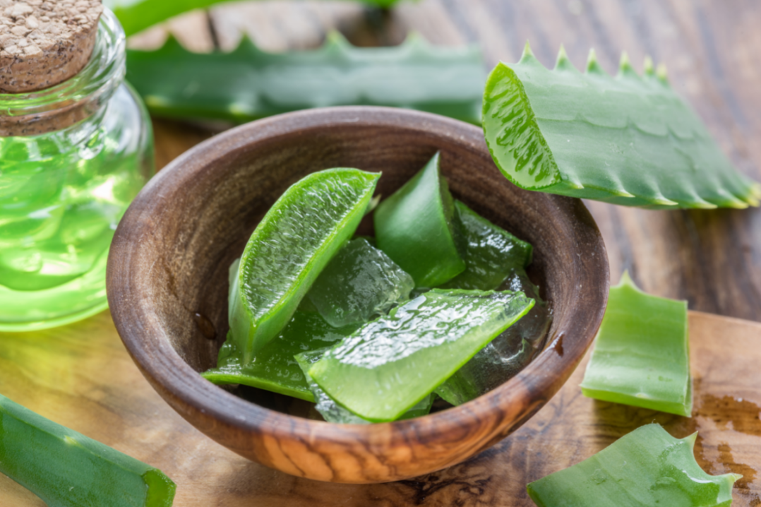 10 Amazing Benefits of Aloe Vera