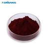 Elderberry Extract