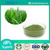 Barley Grass Powder