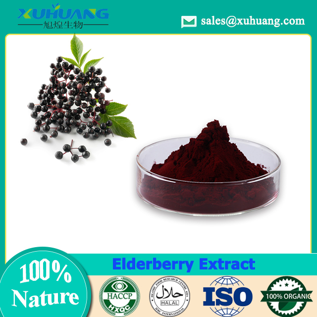 Elderberry Extract