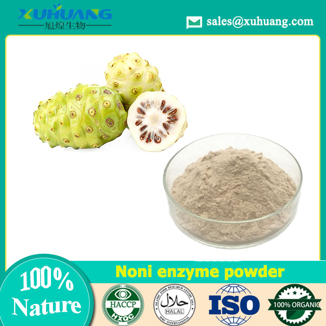 Noni Enzyme Powder