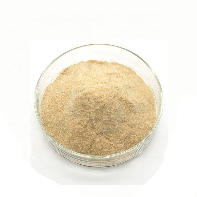 Sunflower Seed Protein Powder