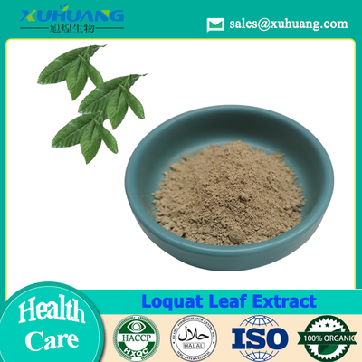 Loquat Leaf Extract