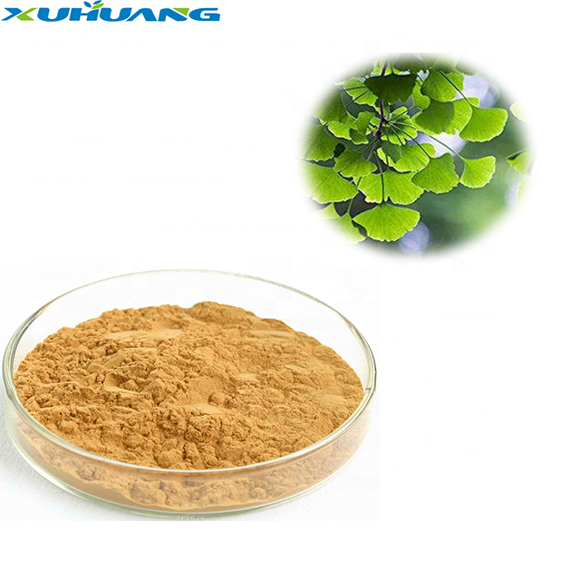 Ginkgo Biloba Leaf Extract