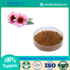 Echinacea Purpurea Extract