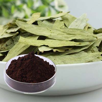 Senna Leaf Extract Weight Loss