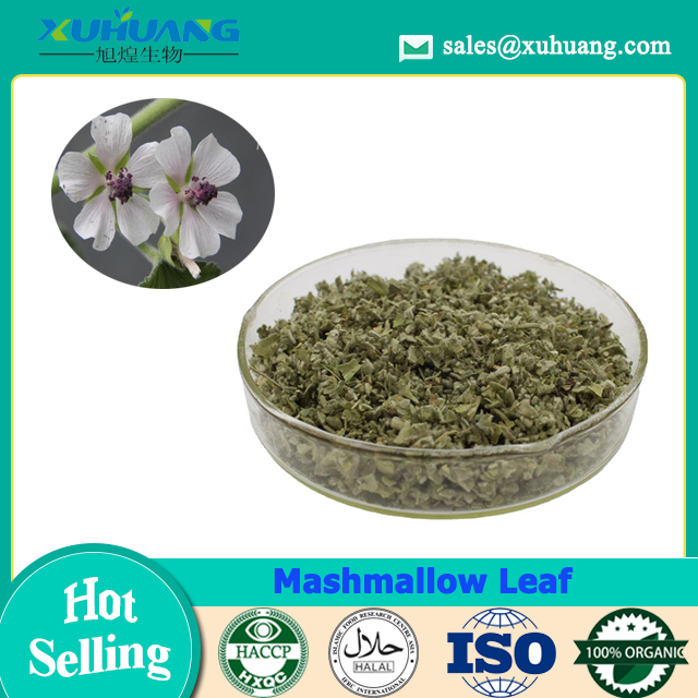 Mashmallow Leaf -Raw Tobacco Material