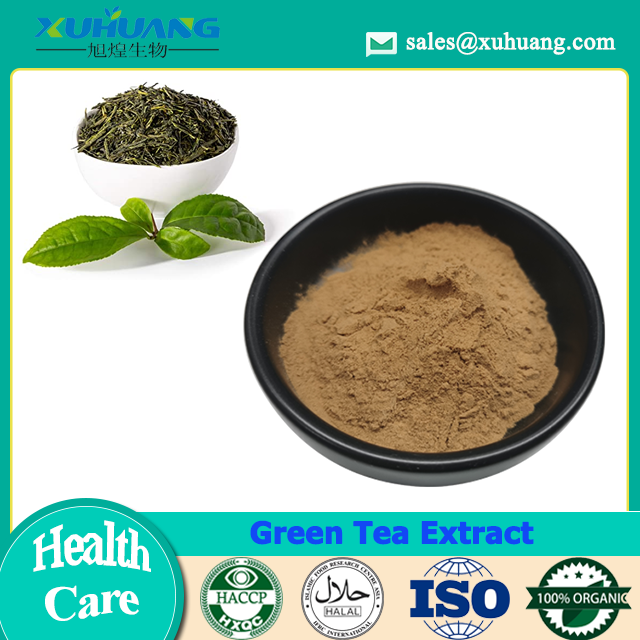 Green Tea Extract Anti Inflammatory