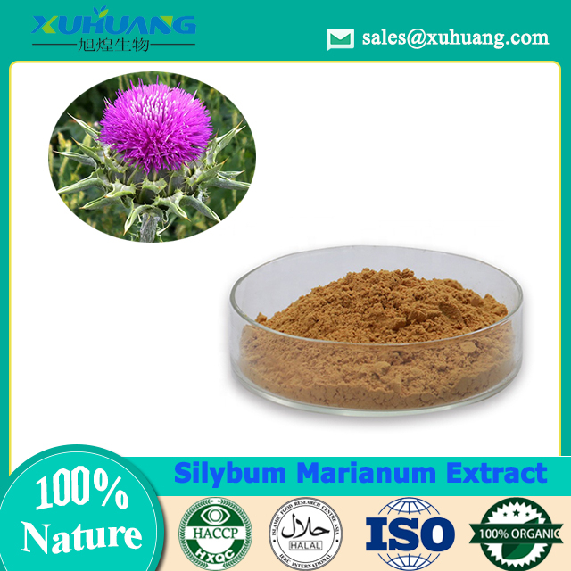 Silybum Marianum Extract
