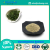 Gynostemma Extract 