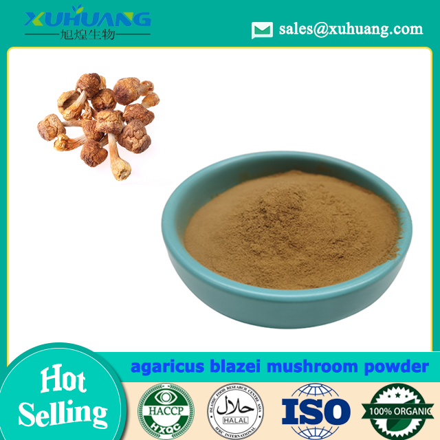 Agaricus Blazei Mushroom Powder