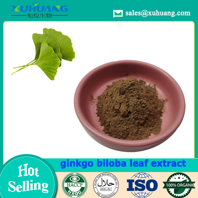 Ginkgo Biloba Leaf Extract Powder 