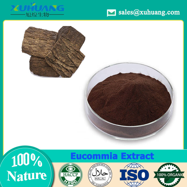 Eucommia Extract