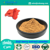 Goji Berry Extract Powder